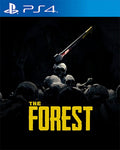 THE FOREST PS4 PSN MIDIA DIGITAL